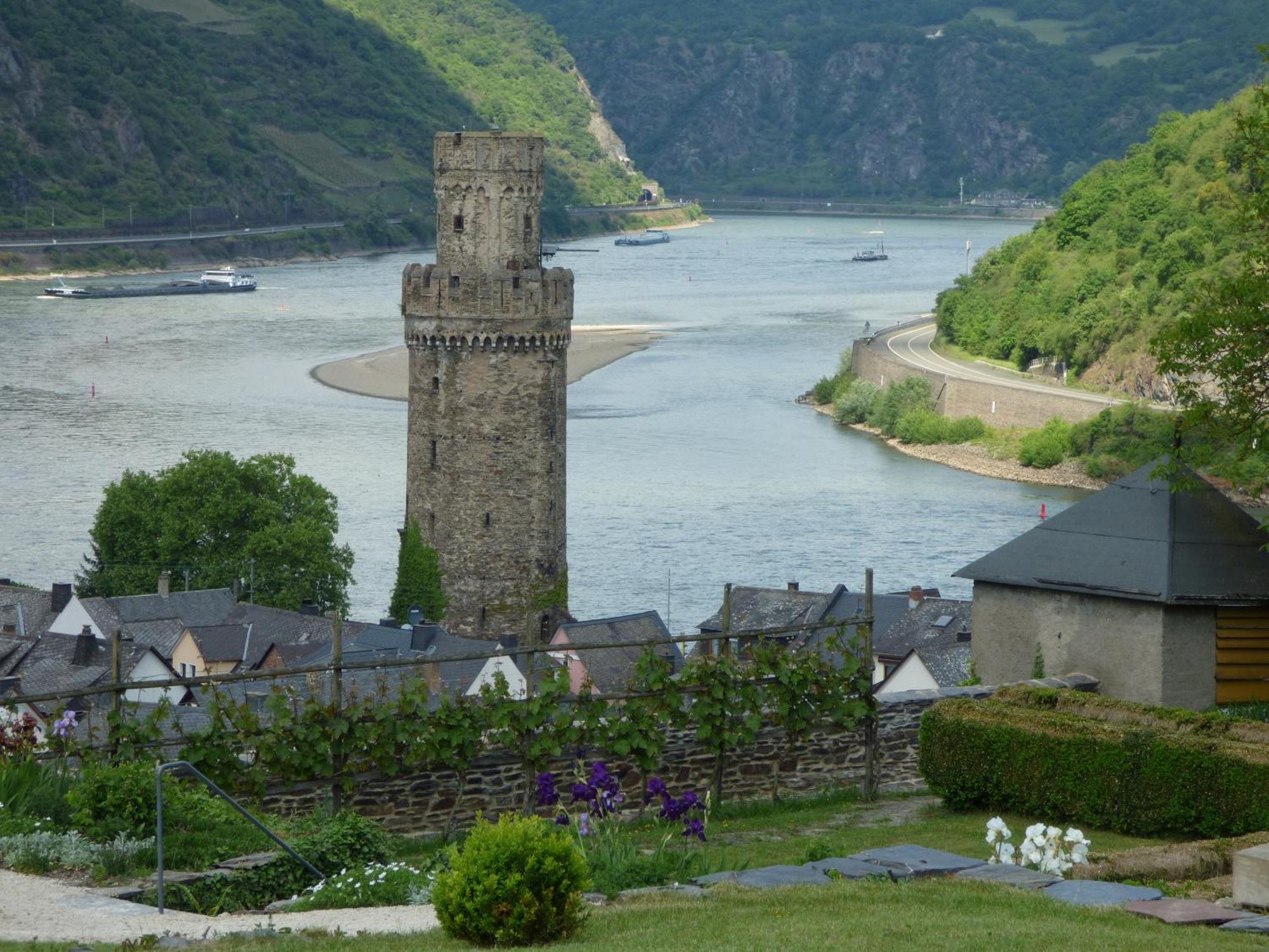 Goldener Pfropfenzieher Oberwesel Exteriér fotografie